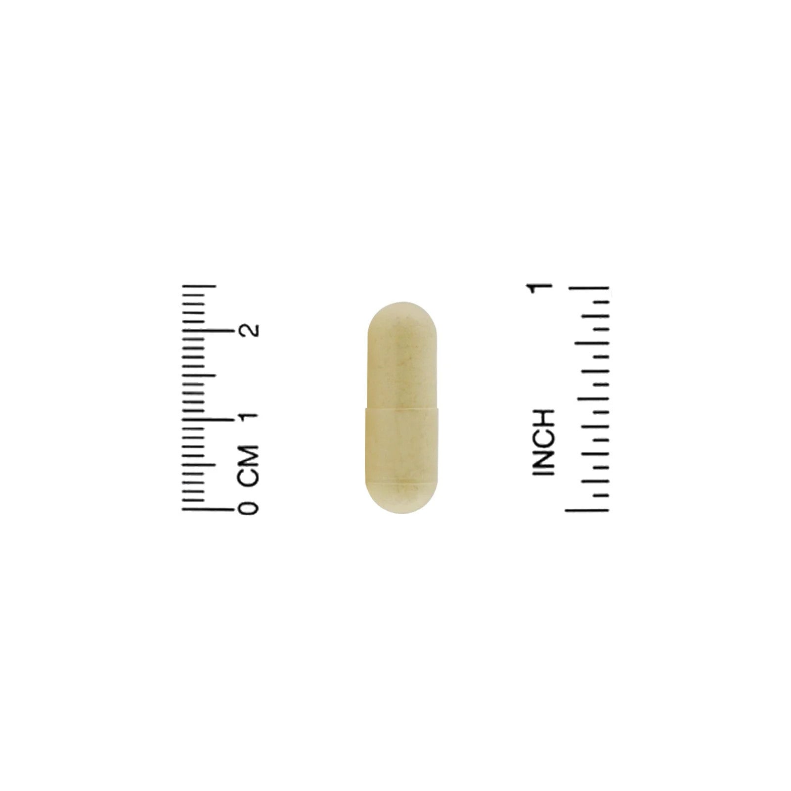 Organic India Moringa 90 Veggie Caps Gluten-Free, Organic, Vegan, Vegetarian