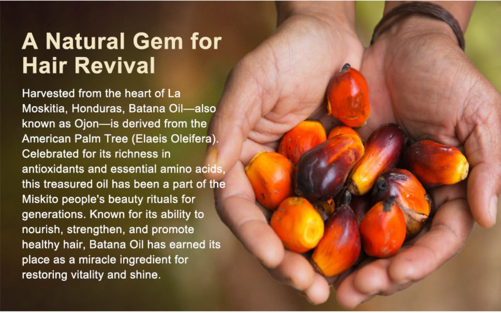 Natural Batana Oil for Hair Growth Healthier Thicker Fuller anti Hair Loss
