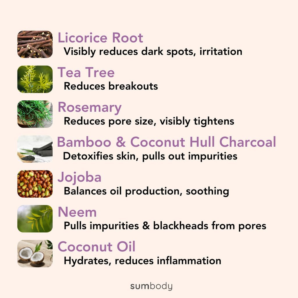 Deep Pore Cleaner Detoxifying Face Wash for Oily Skin Charcoal Cleanser - Daily Moisturizing Face Wash for Men, Women, Teens, Hydrating Gentle Face Cleanser for Sensitive Skin, Made in USA