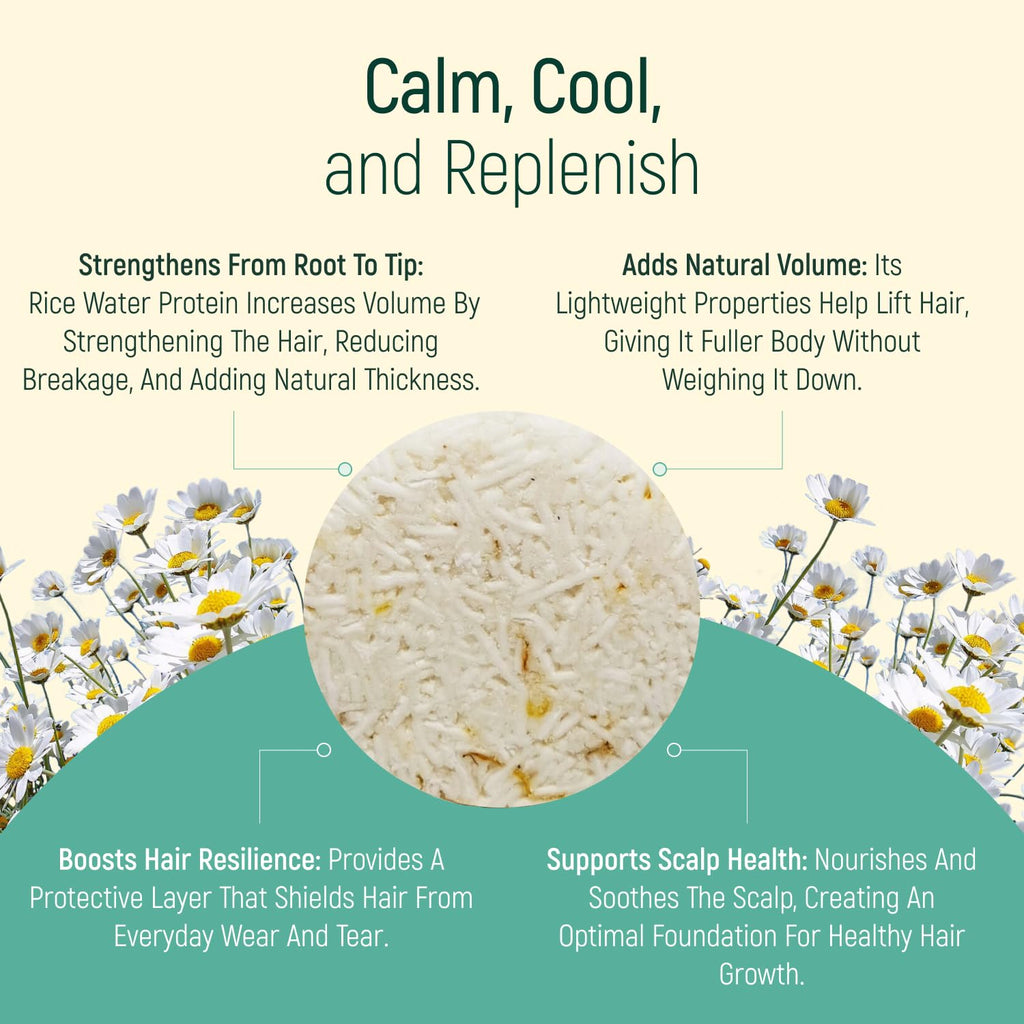 Solid Shampoo Bar and Conditioner Effect Hair Soap – 100% Organic Shampoo Bars for Hair with All Natural Plant Based Essential Oils & Zero Waste Biodegradable Packaging (Mint and Chamomile)