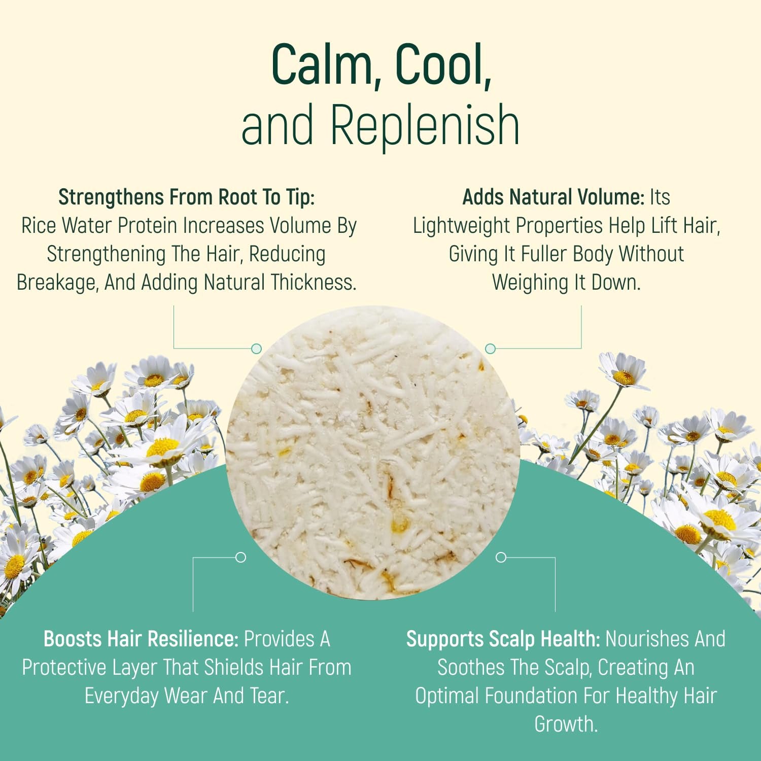 Solid Shampoo Bar and Conditioner Effect Hair Soap – 100% Organic Shampoo Bars for Hair with All Natural Plant Based Essential Oils & Zero Waste Biodegradable Packaging (Mint and Chamomile)