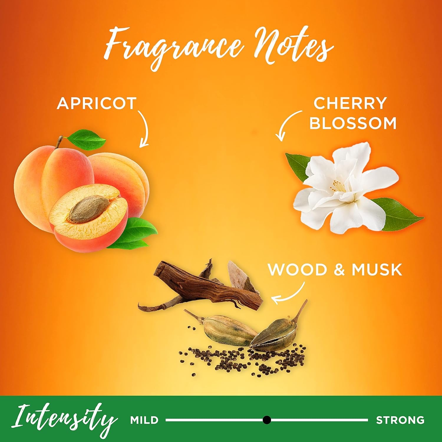 Whole Blends Shampoo and Conditioner